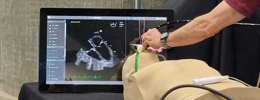 Critical Care Transesophageal Echocardiography