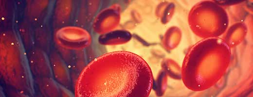 Magnified artwork of red blood cells